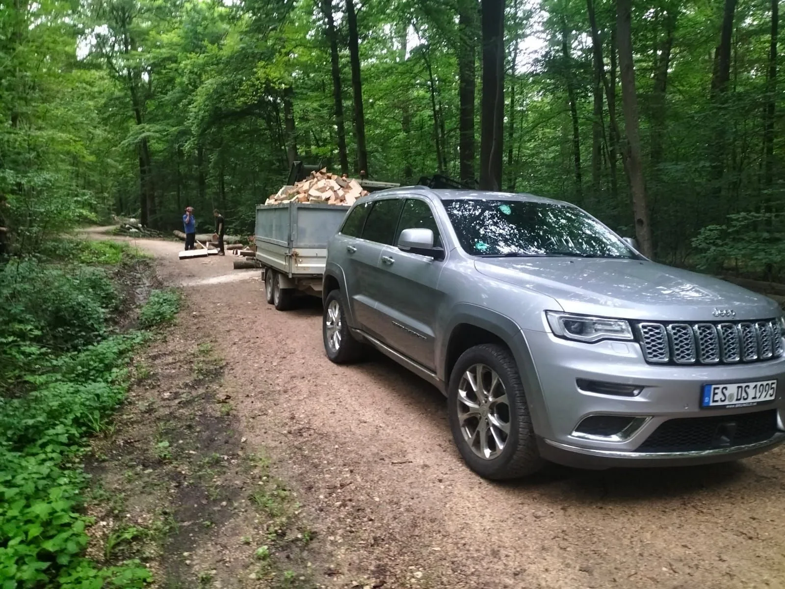 Kipp-Anhänger voller frisch gespaltenem Scheitholz am Waldweg, angehängt an einen Geländewagen