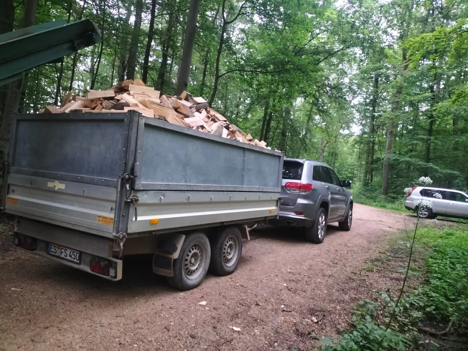 Kipp-Anhänger randvoll mit frisch gespaltenem Scheitholz auf einem Waldweg