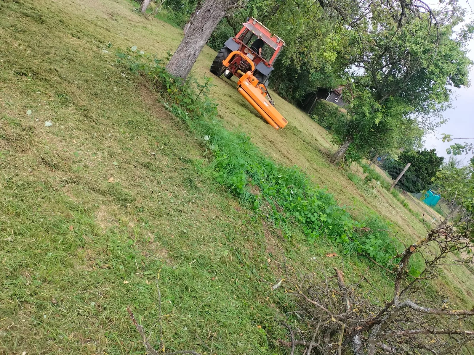 Schlepper mit orangem Auslegemulcher beim Mulchen einer Böschung am Wiesenhang