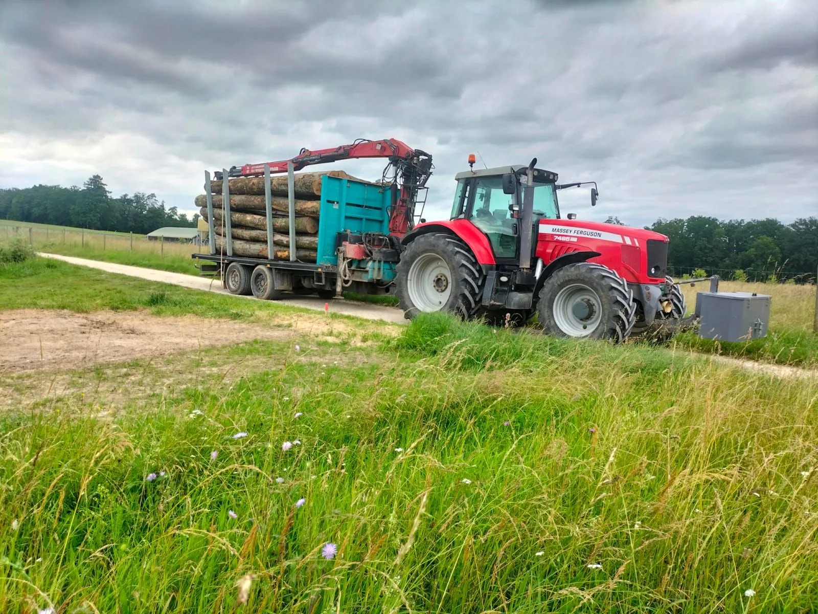 Massey Ferguson mit Rückewagen voller Langholz am Feldweg, im Vordergrund hohe Sommerwiese