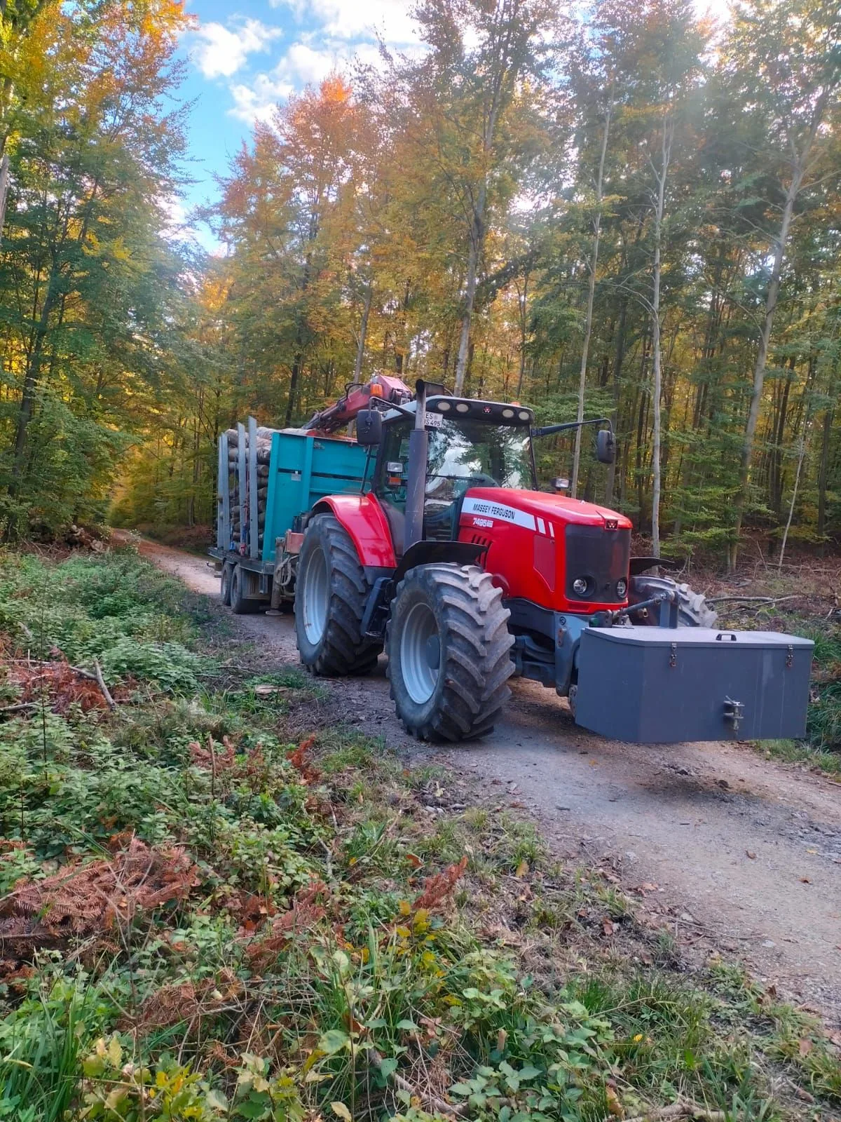 Gespann mit beladenem Rückewagen auf dem Waldweg im herbstlich gefärbten Buchenwald