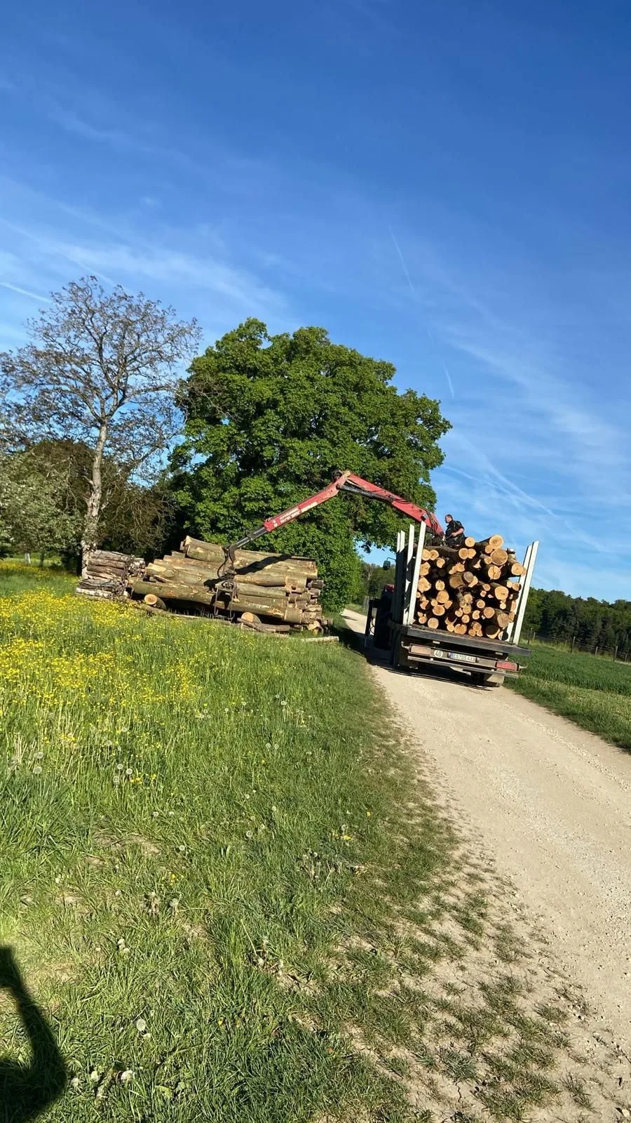 Beladener Rückewagen am Feldweg neben dem aufgesetzten Polter, davor eine Wiese voller Löwenzahn