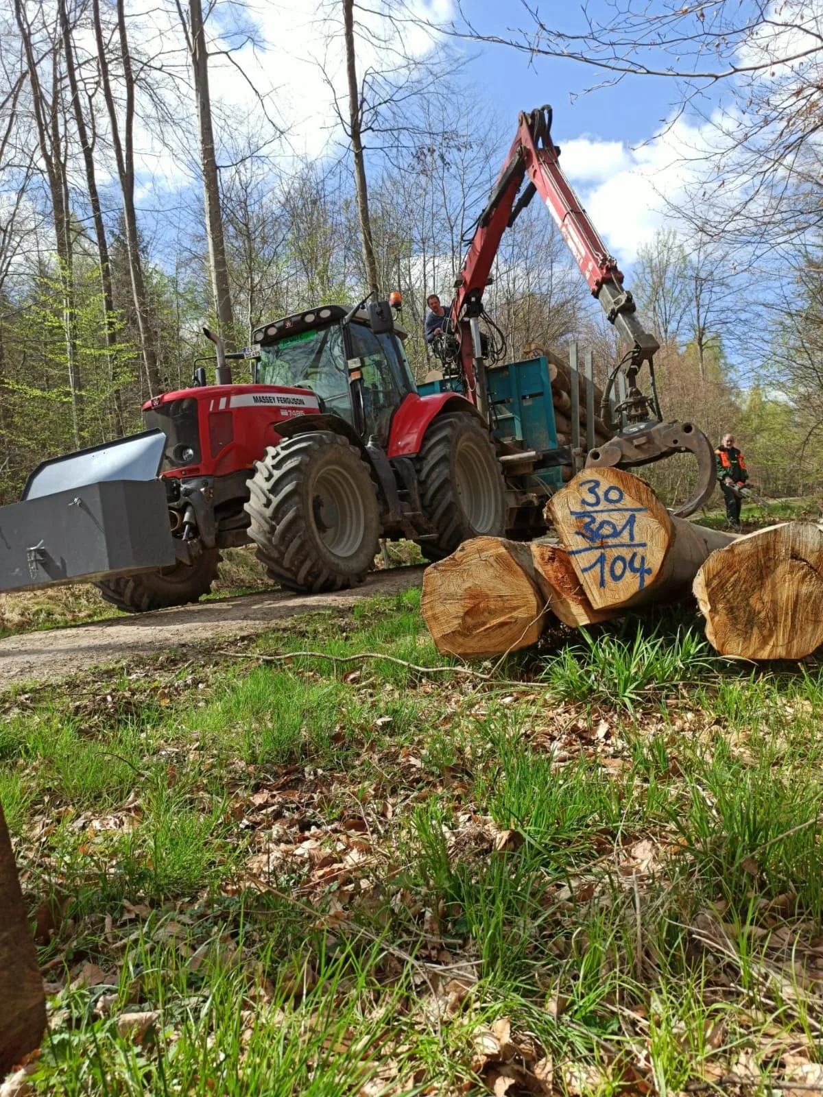 Kranzange über frisch geschnittenen Stämmen mit blauer Vermessungsnummer am Waldweg