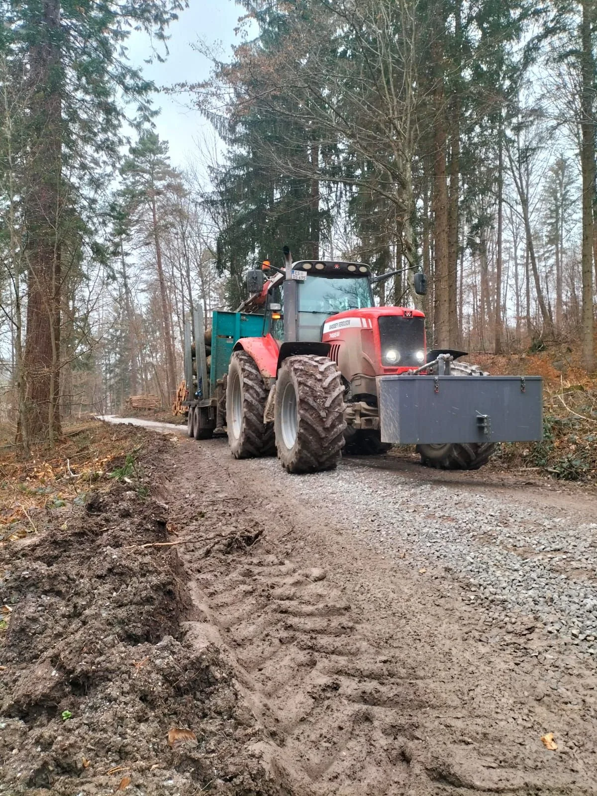Gespann mit eingeschaltetem Licht auf einem aufgeweichten Waldweg im Winter