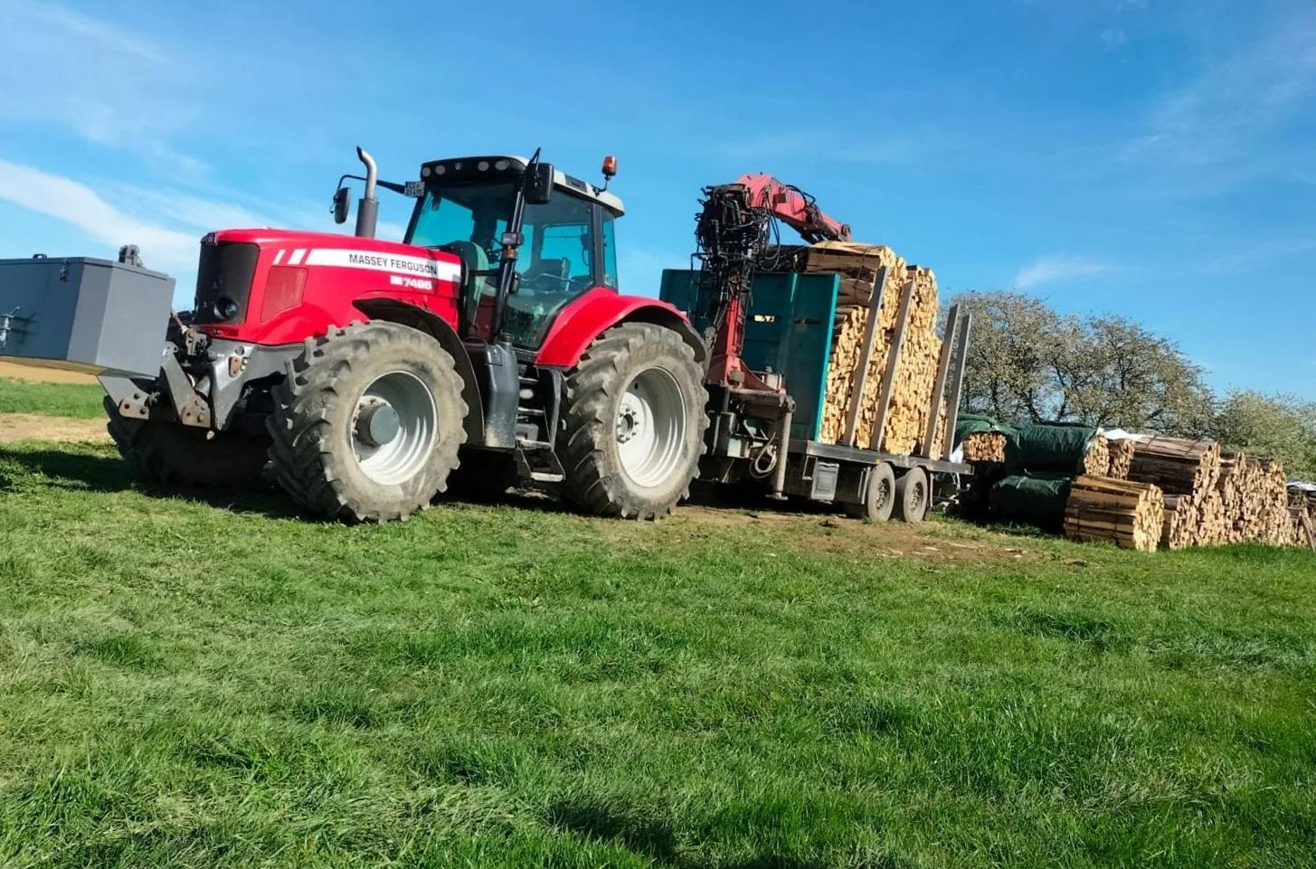 Massey Ferguson mit Rückewagen voller ofenfertigem Scheitholz auf einer Wiese, dahinter blühende Obstbäume