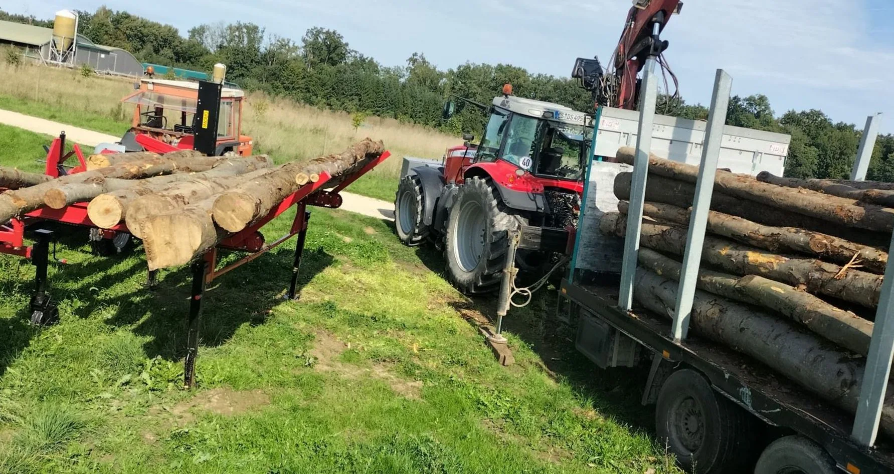 Stämme auf dem Zuführtisch des Sägespaltautomaten, daneben Schlepper und beladener Rückewagen