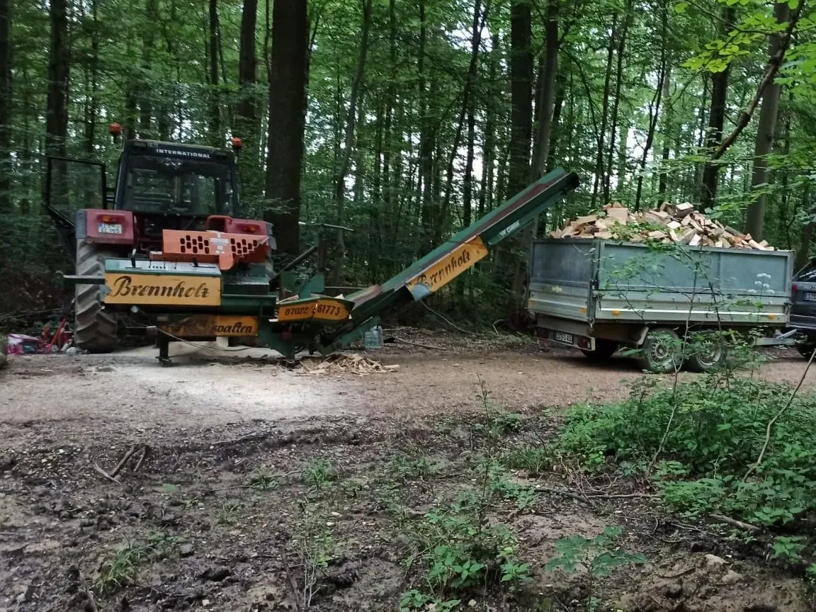 Sägespaltautomat im Wald, das Förderband wirft frisch gespaltene Scheite auf einen voll beladenen Anhänger